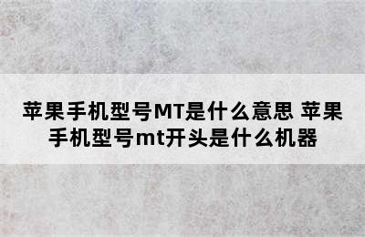 苹果手机型号MT是什么意思 苹果手机型号mt开头是什么机器